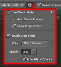 crop settings in photoshop