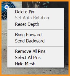 Additional pin options for puppet warp