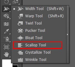 scallop tool in illustrator