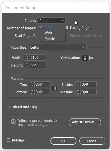 intent option in document setup dialog box in indesign