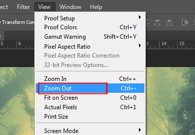 zoom out option under view menu in photoshop