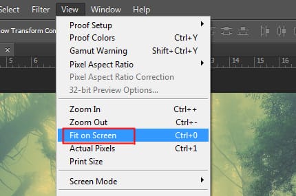 fit on screen option under view menu in photoshop