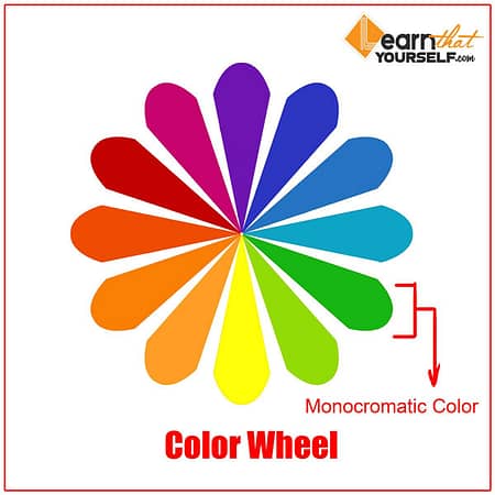 monochrome colors