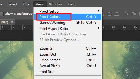 proof colors option under view menu in photoshop