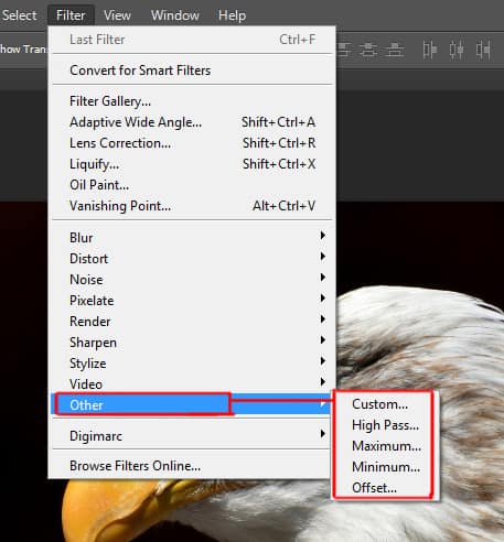 other options under filter menu in photoshop
