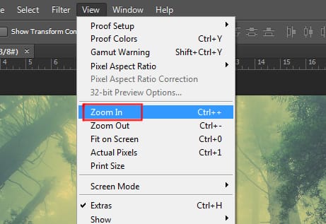zoom in option under view menu in photoshop