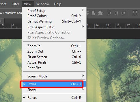 extras option under view menu in photoshop