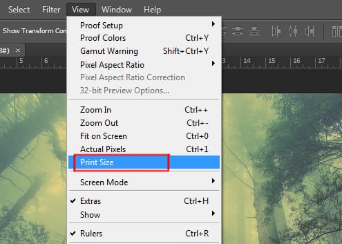 print size option under view menu in photoshop