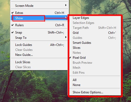show options under view menu in photoshop
