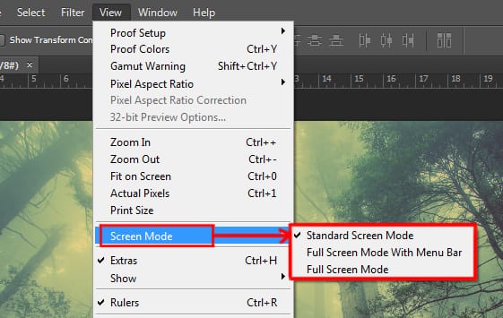 screen mode option under view menu in photoshop