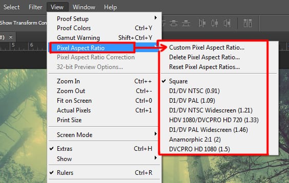 pixel aspect ratio option under view menu in photoshop