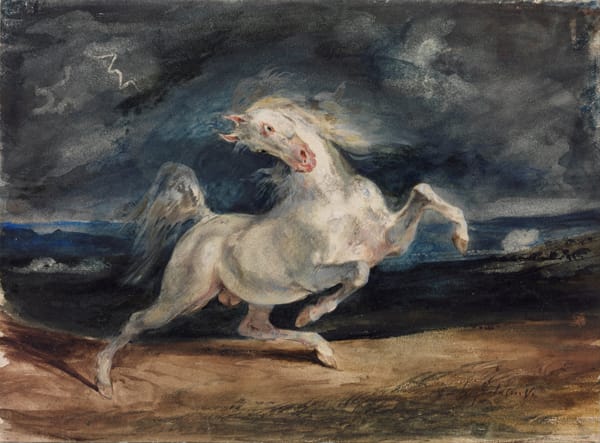 horse frightened by a thunderstorm
