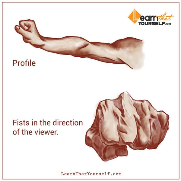 profile of human anatomy