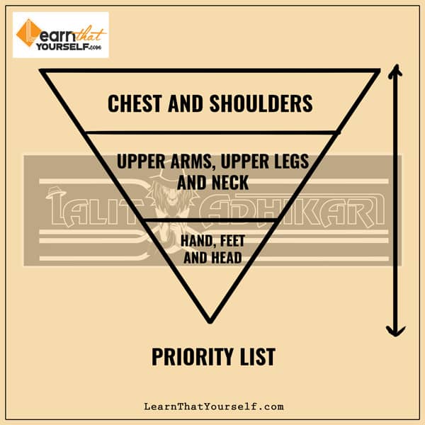 male anatomy priority list