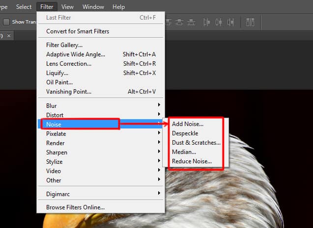 Noise options under filter menu in photoshop