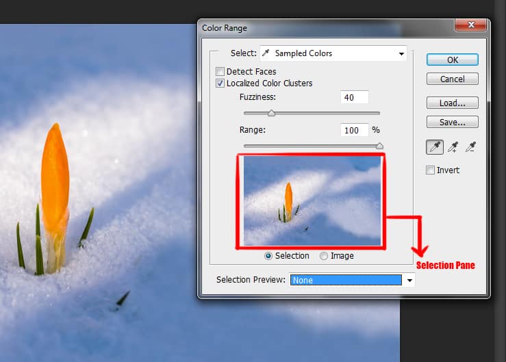 selection pane in color range dialog box in photoshop