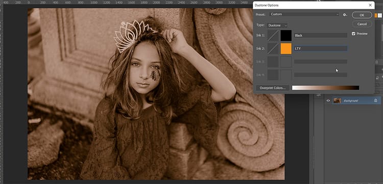 duotone options dialog box in photoshop