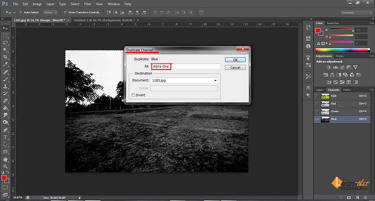 duplicate channel dialog box in photoshop