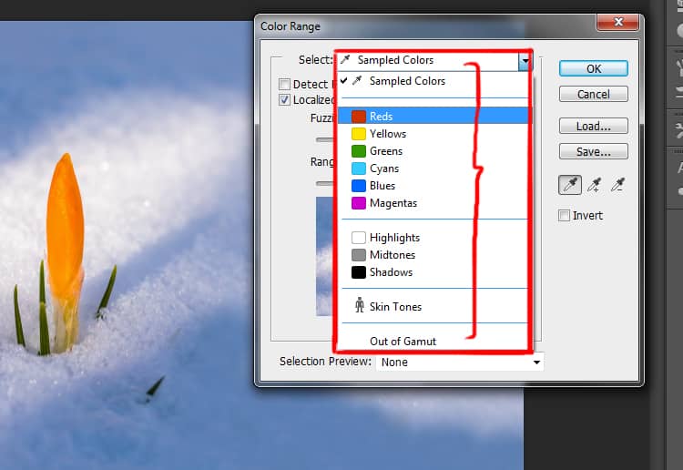 select option in color range dialog box in photoshop