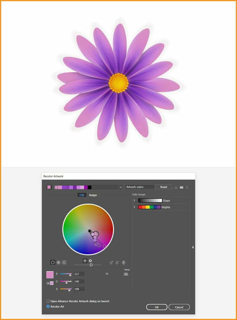 purple color petals